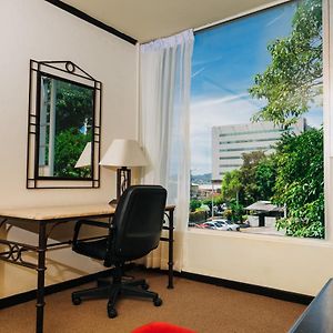 Standard Suite